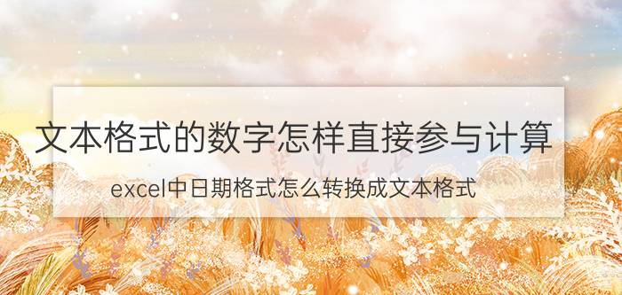 文本格式的数字怎样直接参与计算 excel中日期格式怎么转换成文本格式？